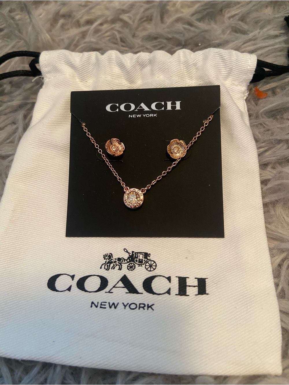 COACH Rose Gold Floral Crystal Necklace & Studs Set